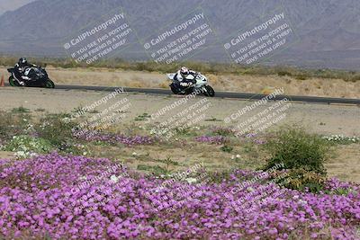 media/Feb-04-2023-SoCal Trackdays (Sat) [[8a776bf2c3]]/Turn 15 Inside Blooming (1050am)/